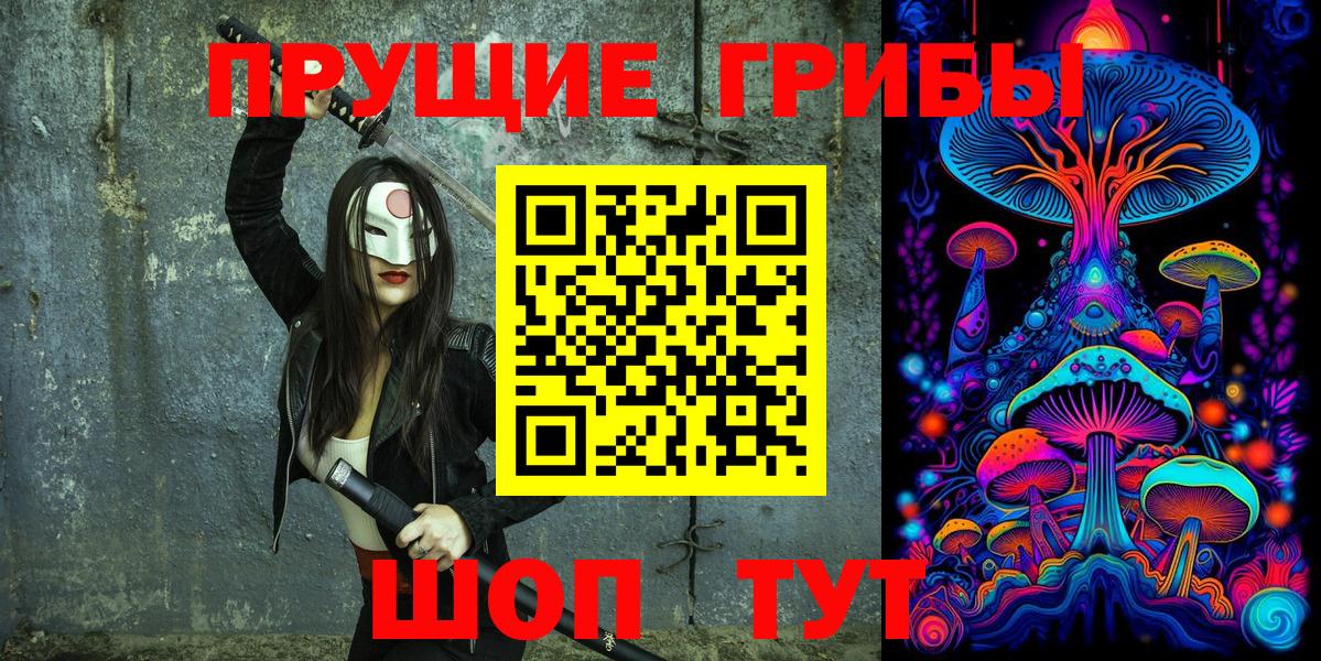Галлюциногенные грибы Psilocybine cubensis Качканар